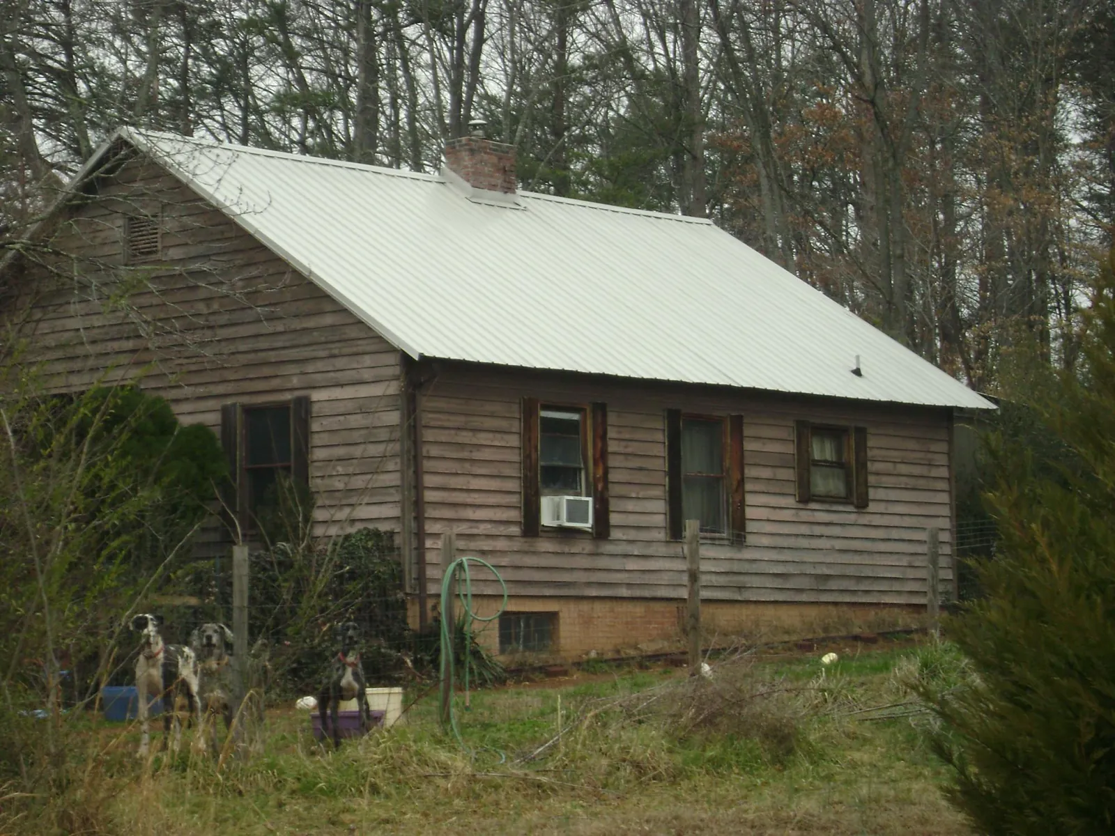 White metal roof on an old wood sided farmhouse, from a Asphalt Shingle Roof Repair job in Rochester